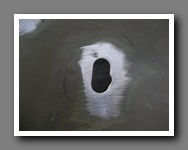 [Click to enlarge image]